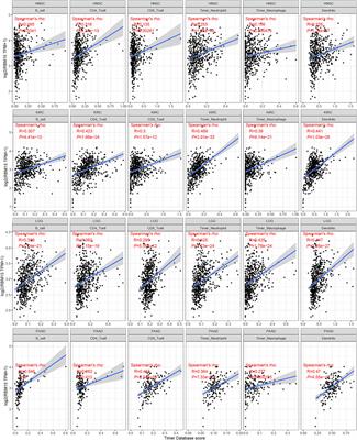 N6-Methyladenosine Methylation Regulator RBM15 is a Potential Prognostic Biomarker and Promotes Cell Proliferation in Pancreatic Adenocarcinoma